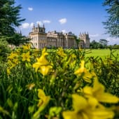Entrance to Blenheim Palace & Three Course Lunch at Weston Manor for Two