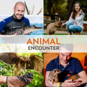 Animal Encounter
