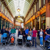 Bring Your Baby to Walk Product Image