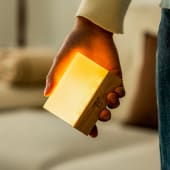 Gingko CuraCheese Night Lights