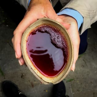 The Medieval Wine Tour in London Product Image