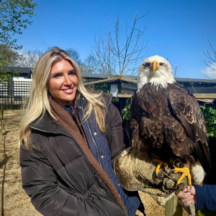Elite Falconry Experience product image