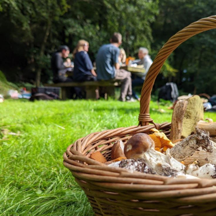 Foraging Day with Wild Lunch product image