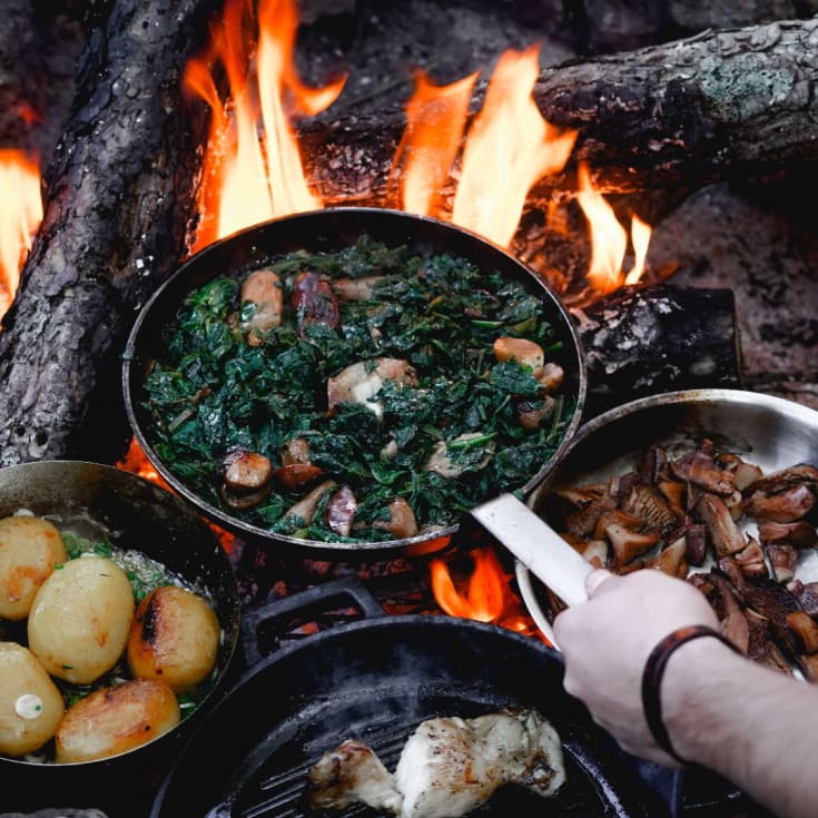 Foraging Day with Wild Lunch product image