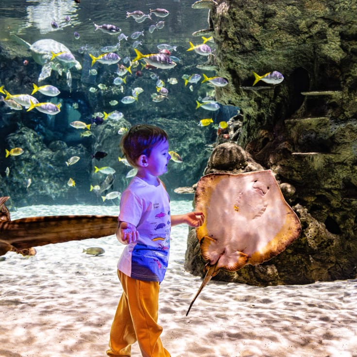Entrance to SEA LIFE for Two product image