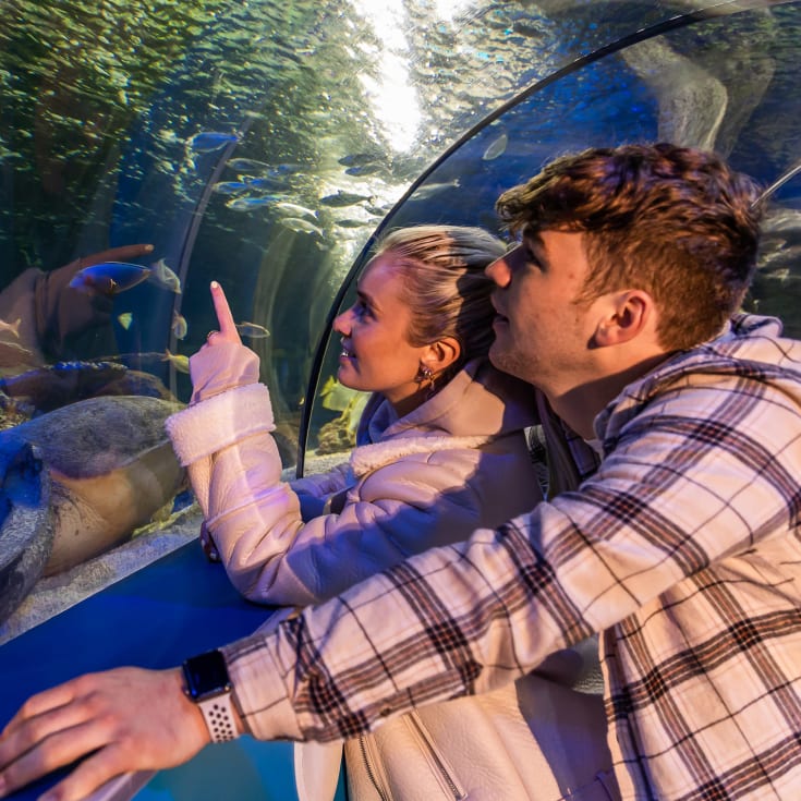 Entrance to SEA LIFE for Two product image