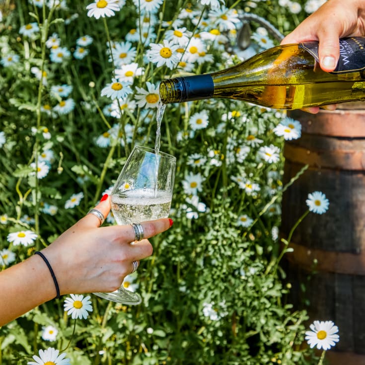 Tour & Pizza for Two at Wildshark Vineyard product image
