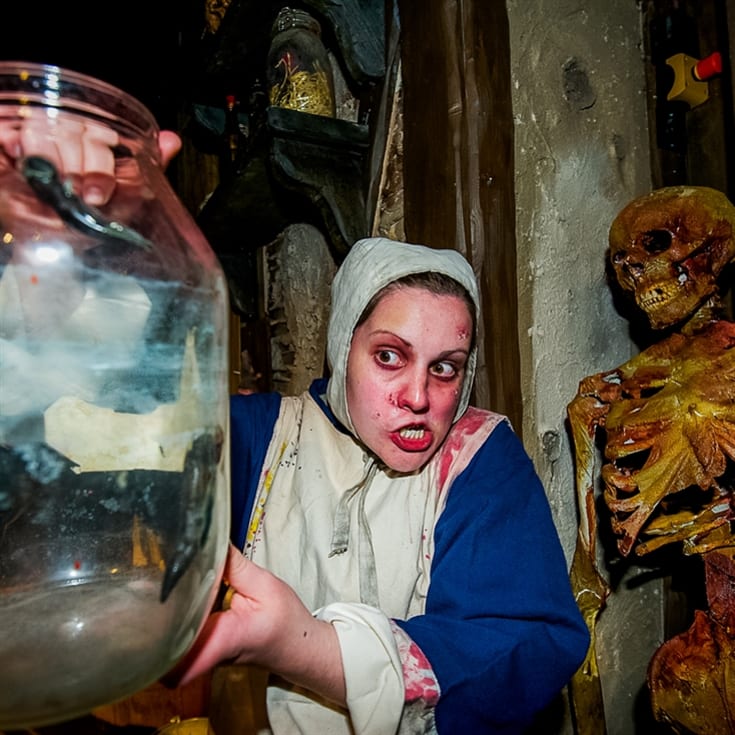 Entrance to The London Dungeon & 2 Course Meal at Las Iguanas for Two product image