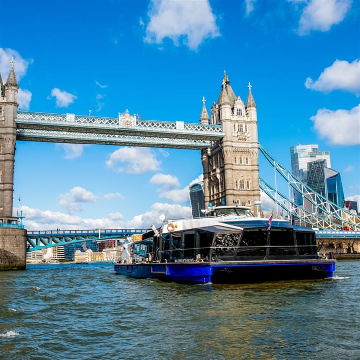 Royal Museum Greenwich Day Pass and Hop on Hop off Boat for Two product image