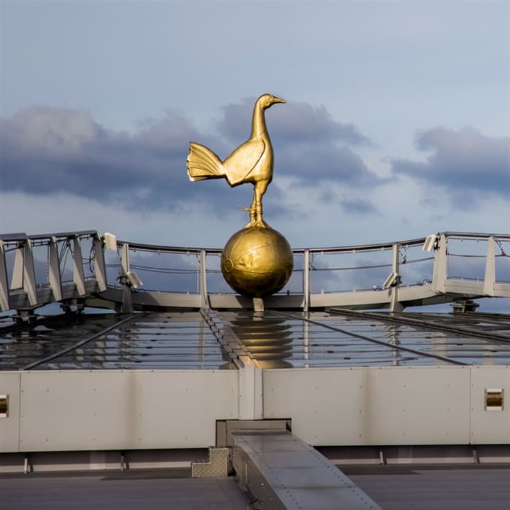 Tottenham Hotspur Stadium Dare Skywalk for 1 Adult & 1 Child product image
