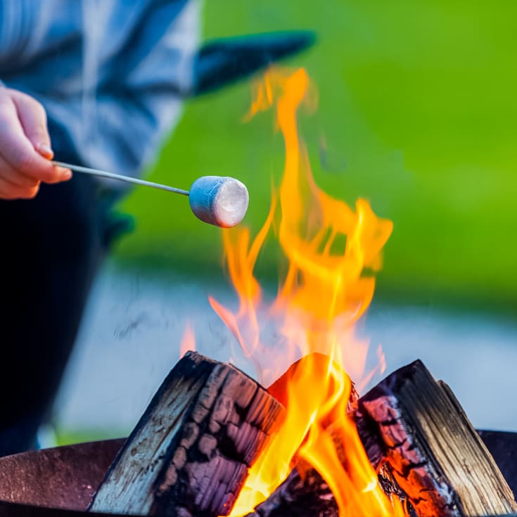 Overnight stay in a Bell Tent product image