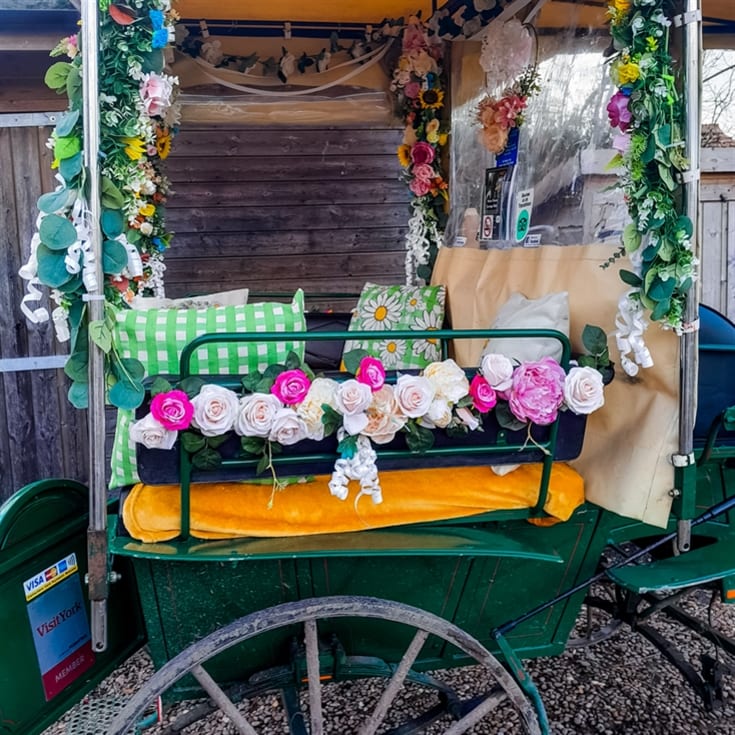 Horse Drawn Carriage Ride with Cream Tea for Four product image