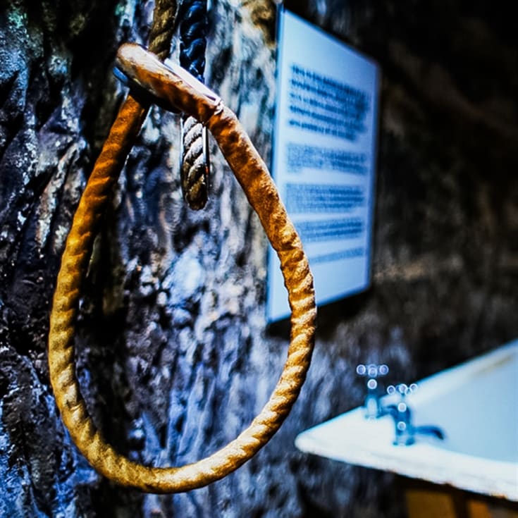 The True CRIME Museum for Four product image