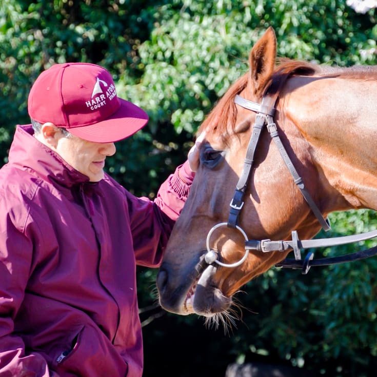 Harraton Court Stables Tour for Two with Darryll Holland product image