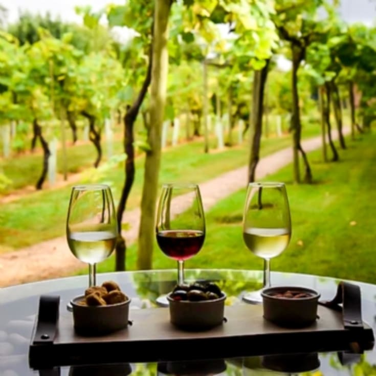 The Gift Experience Vineyard Tour And Tasting For Two At Stanlake Park Wine Estate