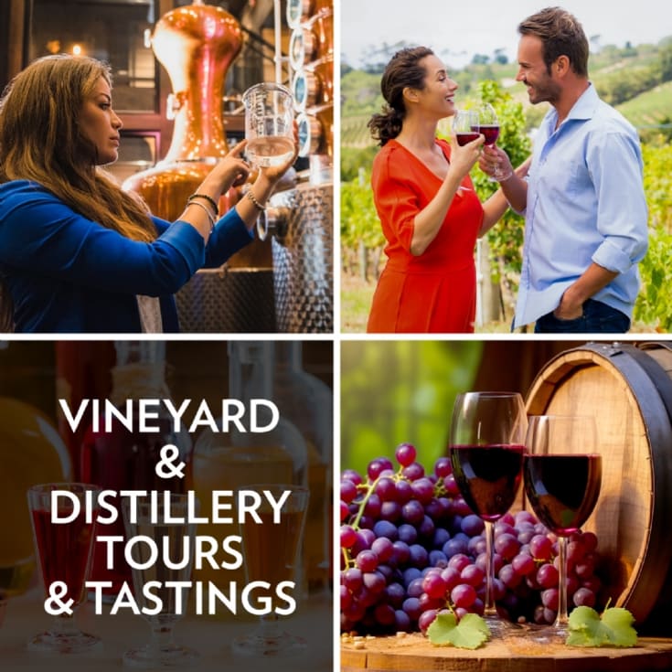 Vineyard & Distillery Tours & Tastings product image
