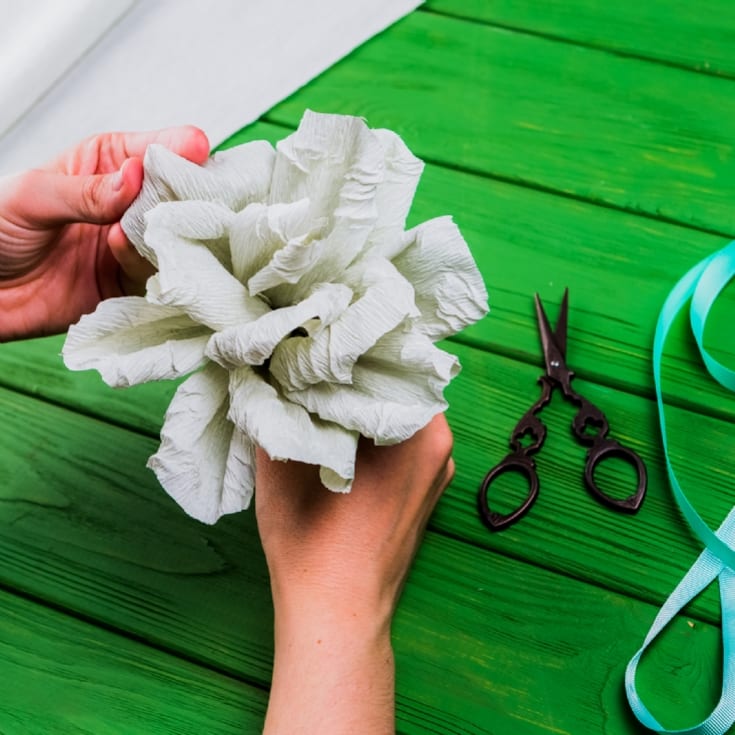 Arts & Crafts Choice product image