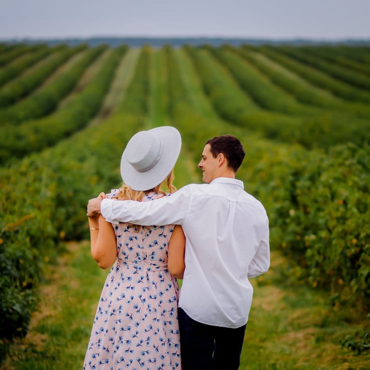 Vineyard Tour & Lunch product image