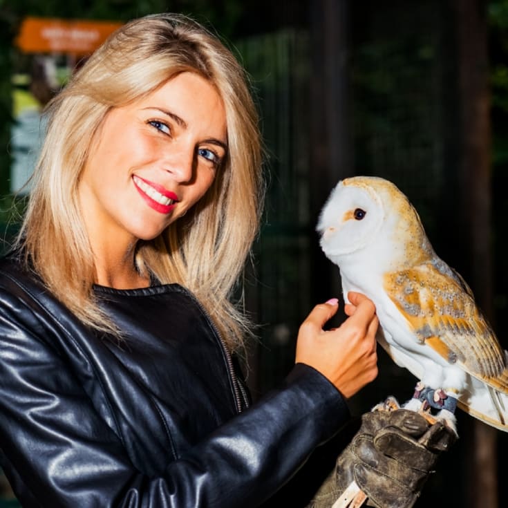 Animal Encounter product image