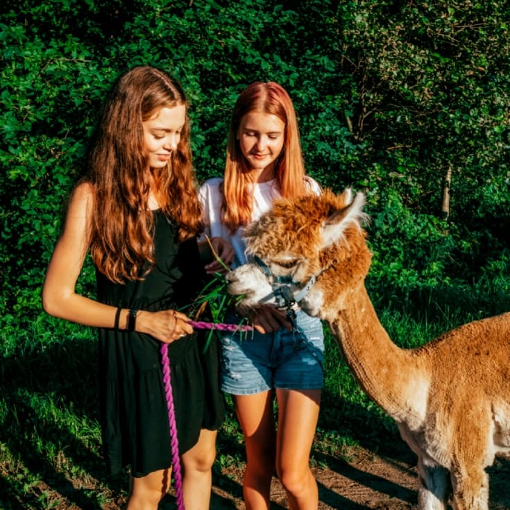 Animal Encounter product image
