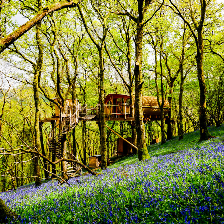 Two Night Family Tree House Escape product image