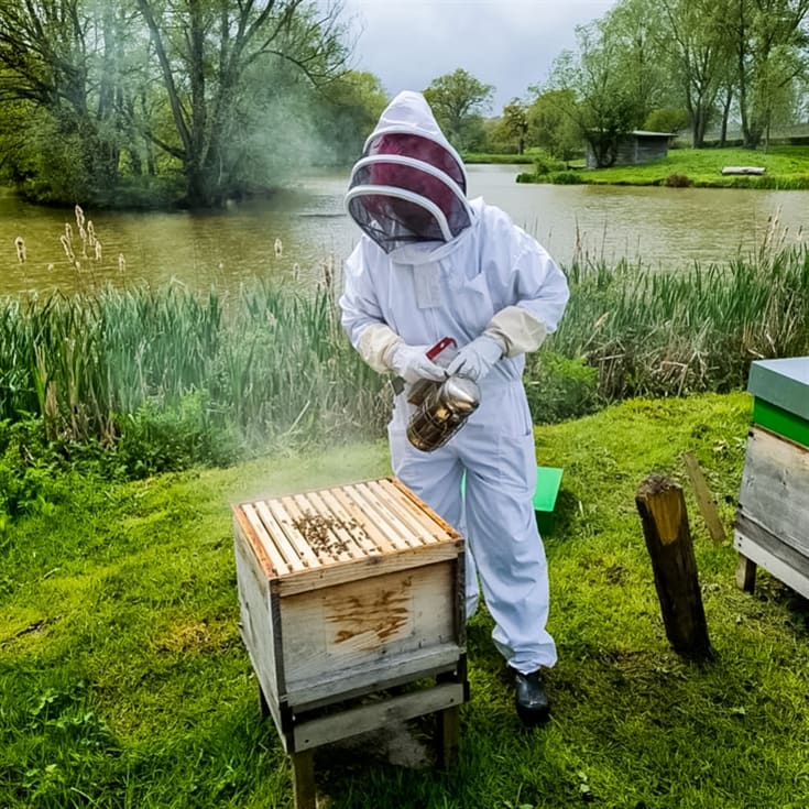 Beekeeping and Beers product image