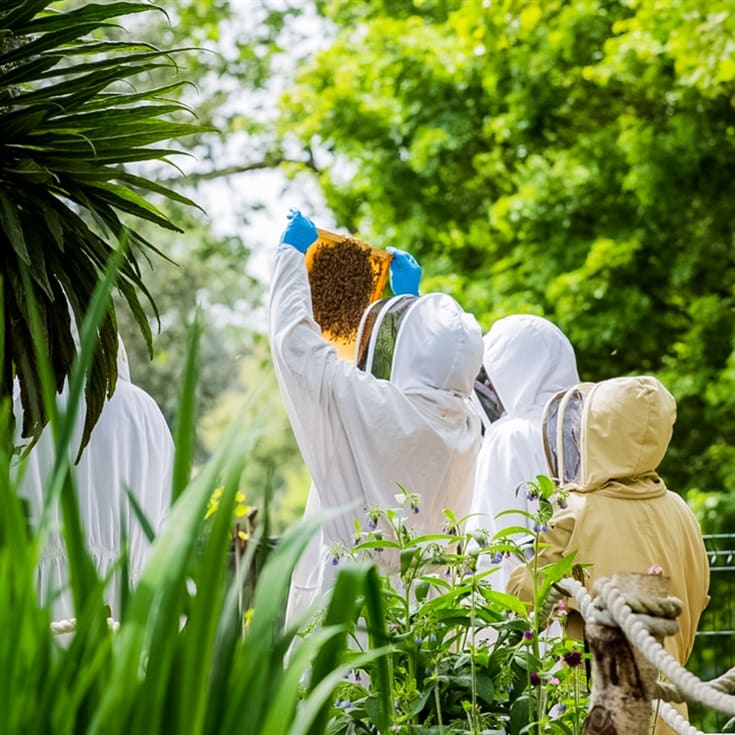 Beekeeping and Beers product image