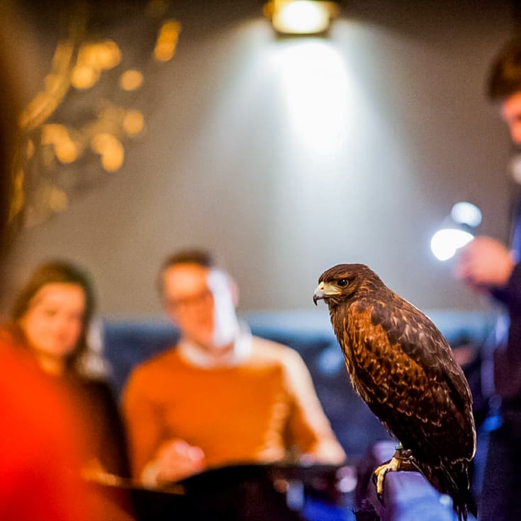 Wild Life Drawing Class in London For Two product image