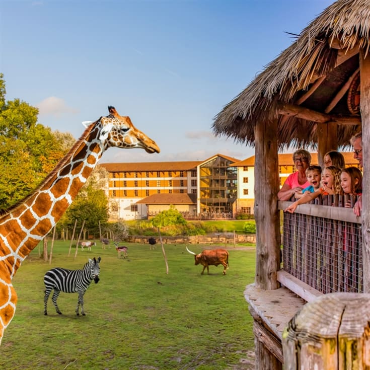 One Day Entrance to Chessington World of Adventures Resort for Two product image