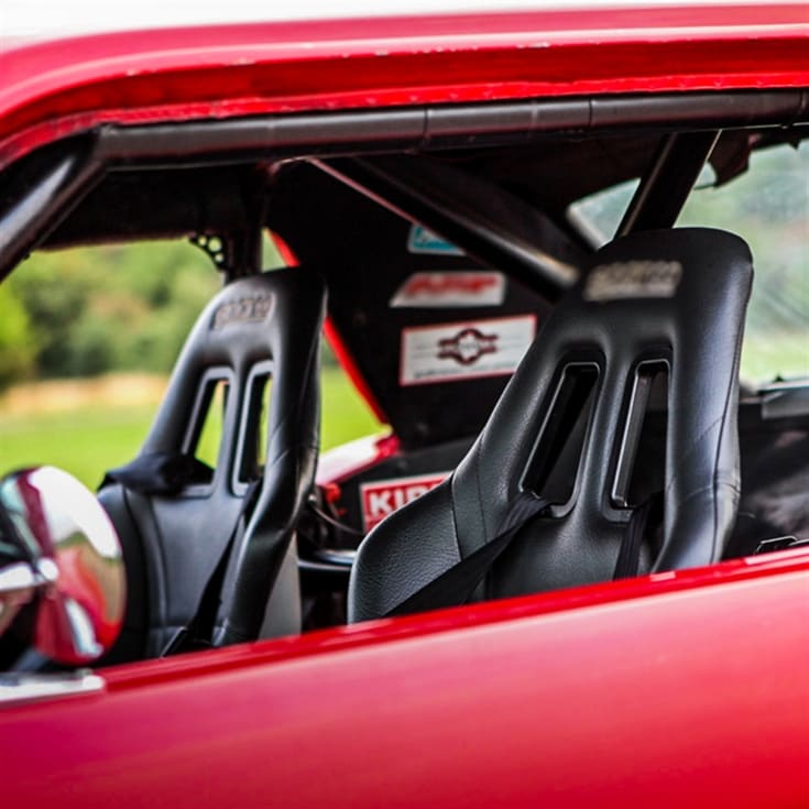 Mustang GT350 Thrill product image