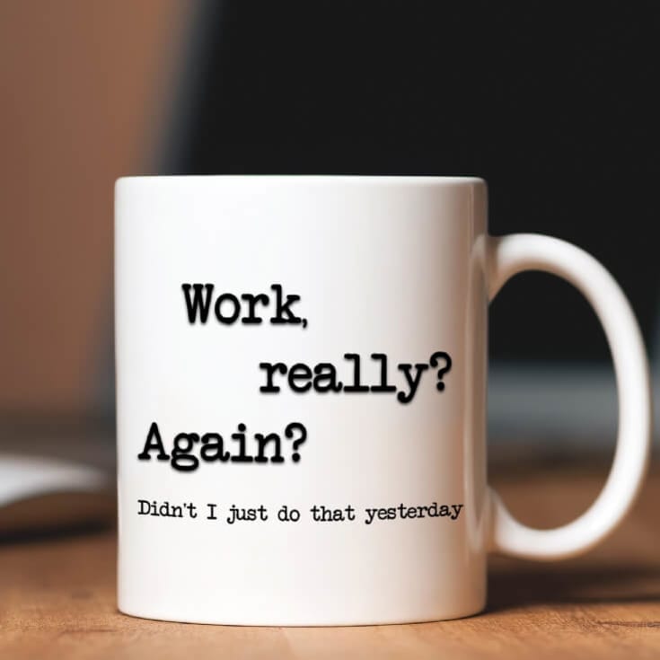 The Gift Experience White Work, Really? Again? Mug Anniversary Gifts For Him