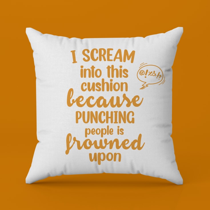 Punching People is Frowned Upon Cushion product image
