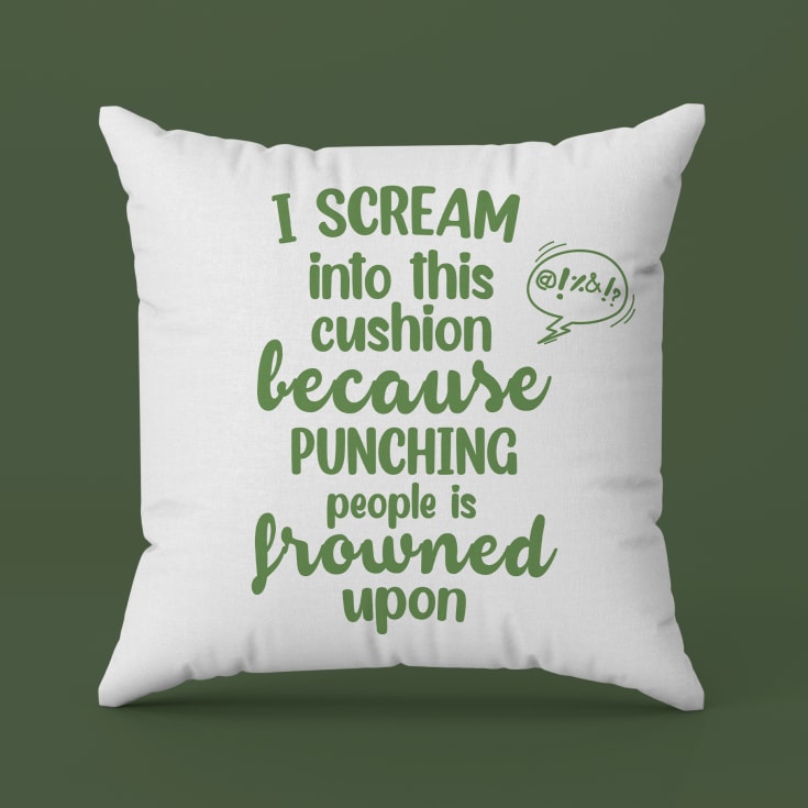 Punching People is Frowned Upon Cushion product image