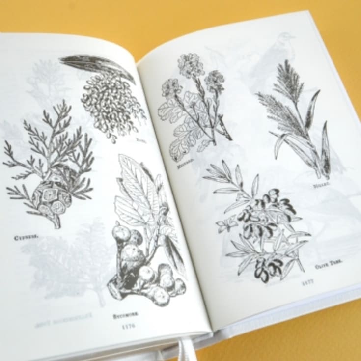 Personalised Bible product image