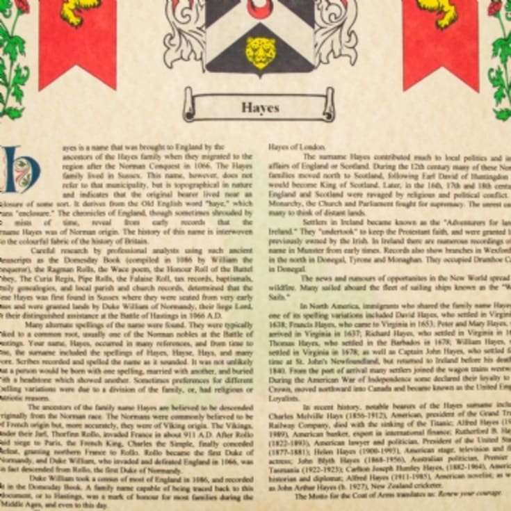 Personalised Coat of Arms and Surname History Print - Brown & Gold Framed product image