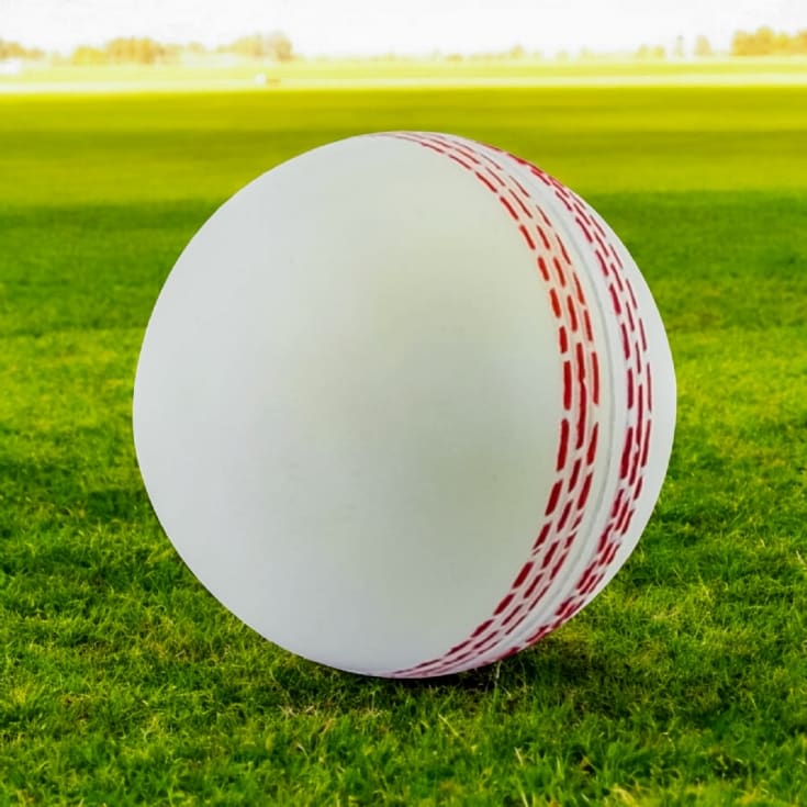 The Gift Experience White Cricket Ball Squeezy Stress Ball