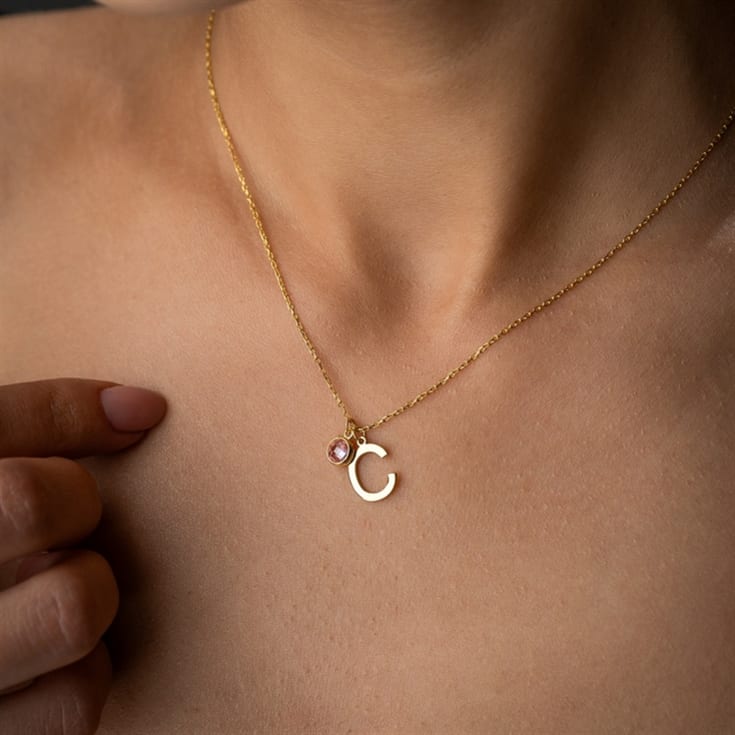 Initial and Birthstone Necklace product image