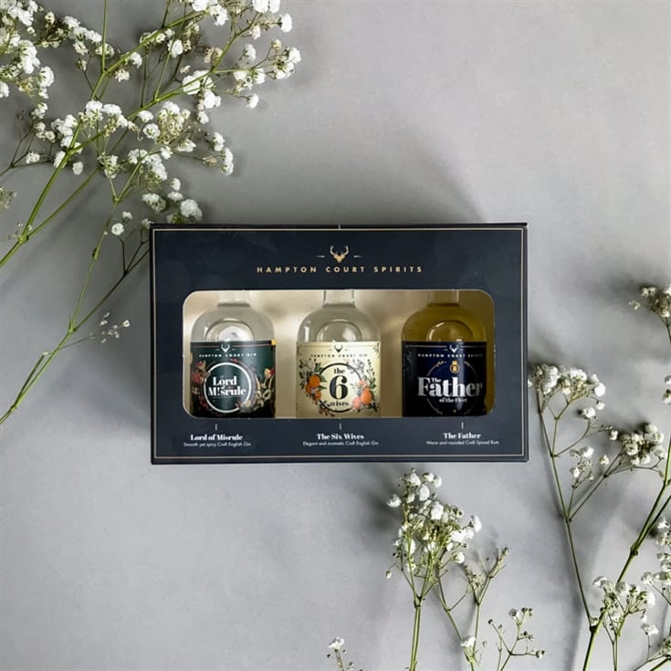 Hampton Court Spirits Mini Taster Craft Gin & Rum Gift Set product image