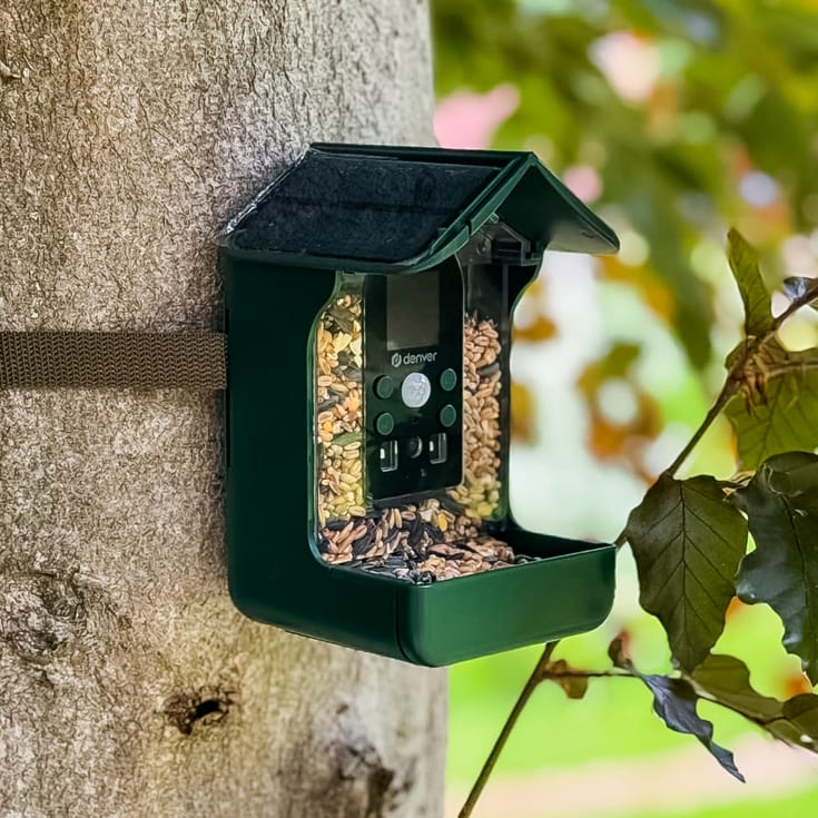 Bird Feeder with Integrated Camera product image