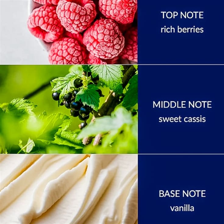 Christmas Essential Oil Blends product image