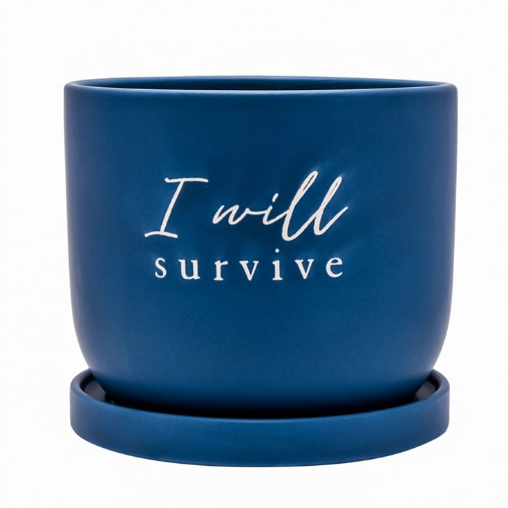 "I Will Survive" Ceramic Plant Pot product image
