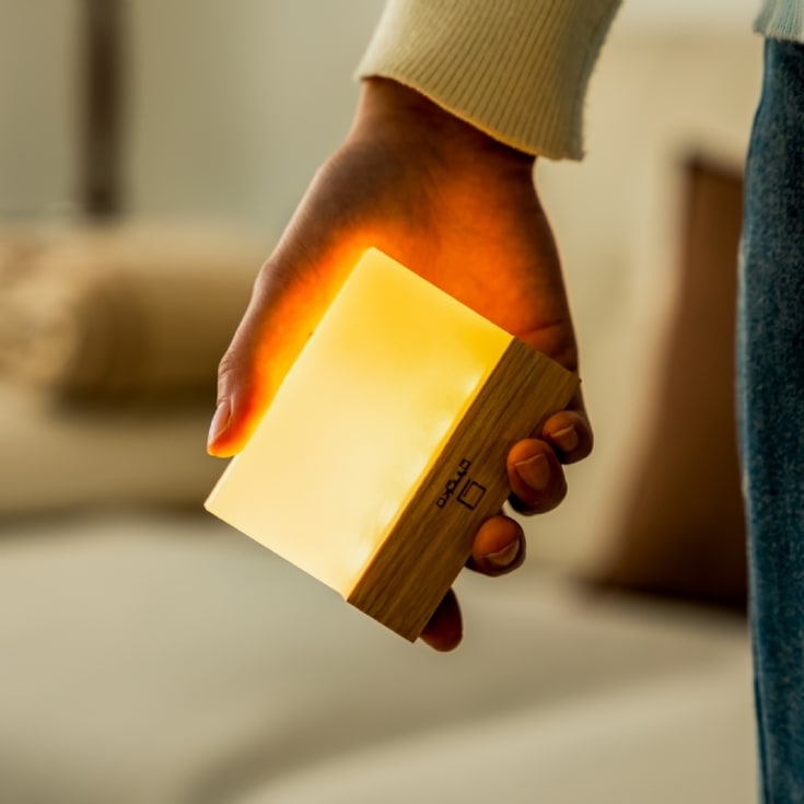 Gingko CuraCheese Night Lights product image