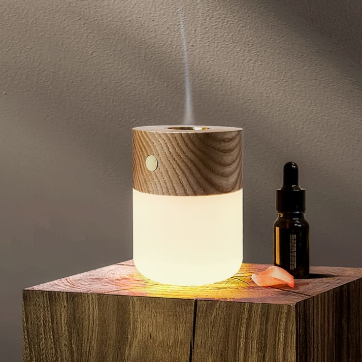 The Gift Experience Light Gingko Smart Diffuser Lamps