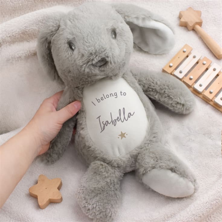 Personalised "I Belong To…" Bunny product image