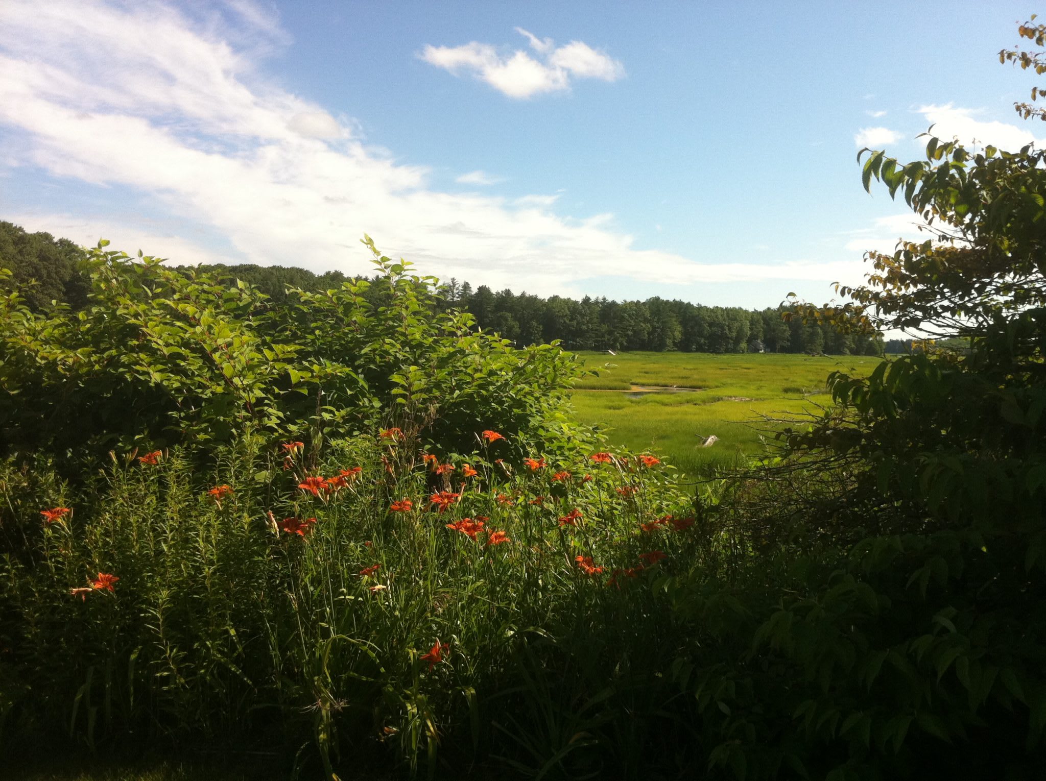Stratham Stratham