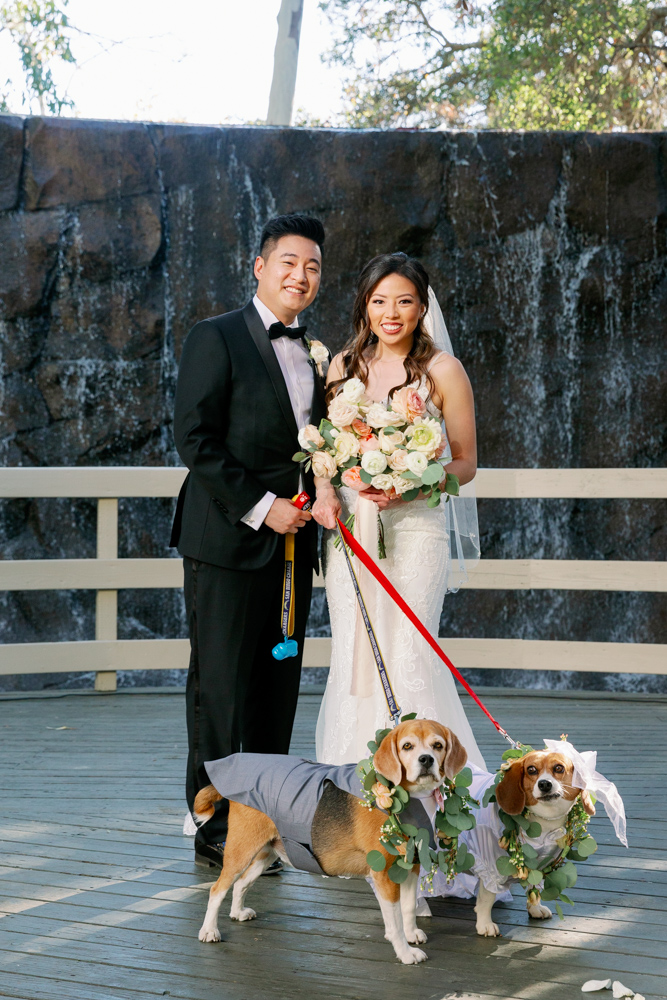 Anthony and Jennifer - Real Weddings by SuitShop