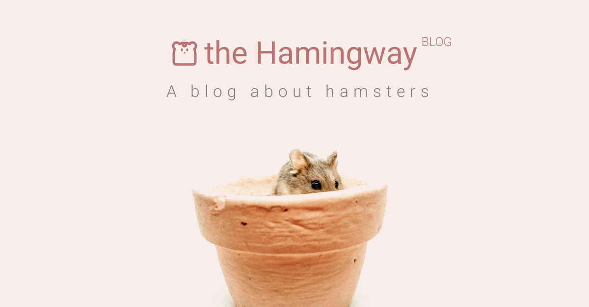 A Basic Guide to Hamster Enclosures