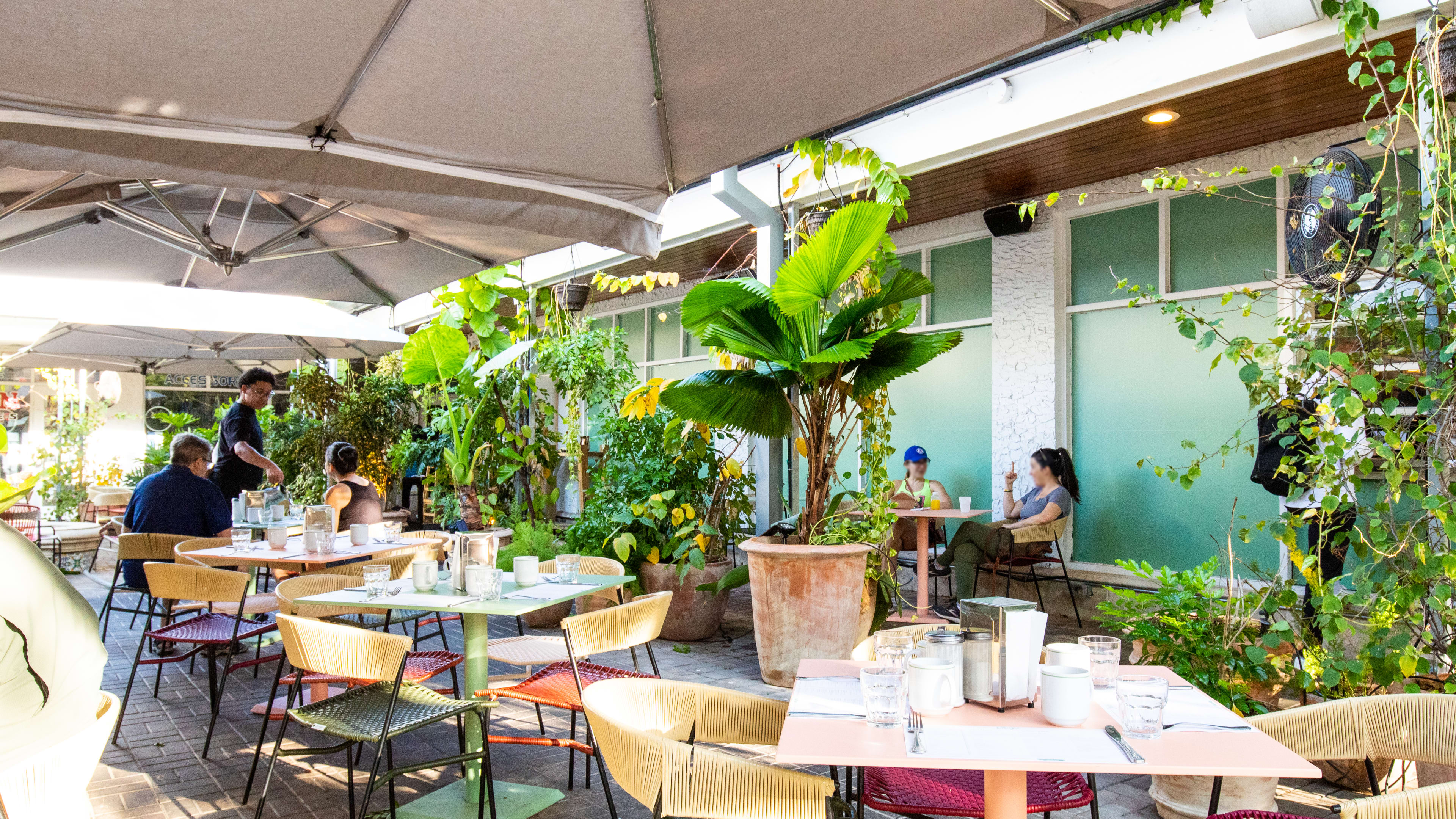 Outdoor seating with lush greenery and umbrellas