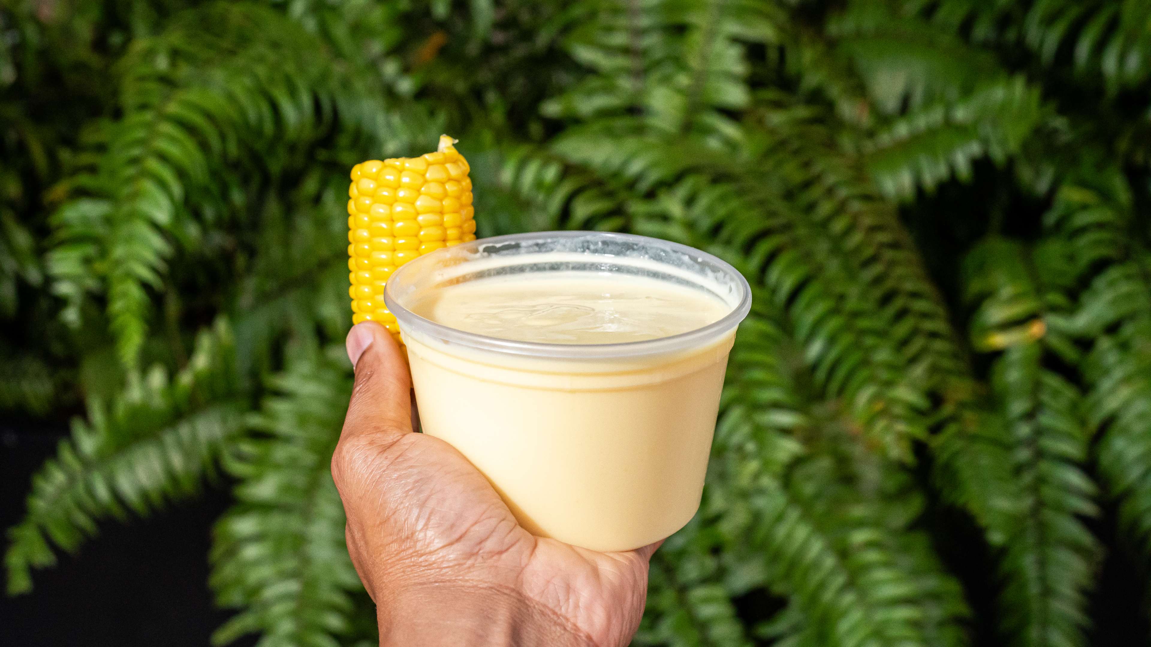 El Atlakat Bird Road - Review - Bird Road - Miami - The Infatuation