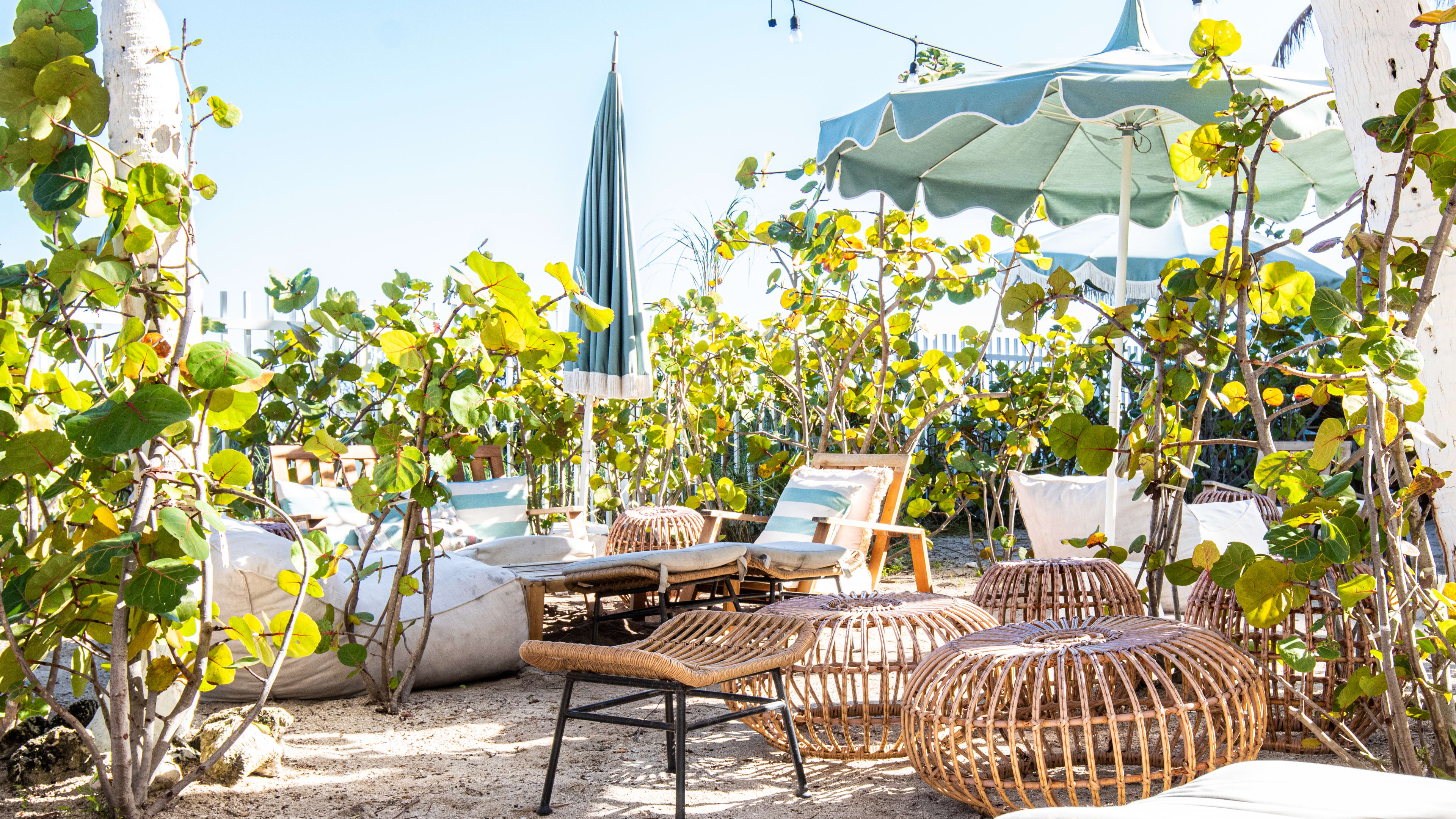 Outdoor seating on sand with wicker chairs, lots of plants, and umbrellas